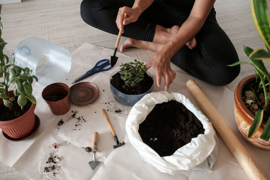 optimizing-your-office-layout with-feng-shui-principles-03